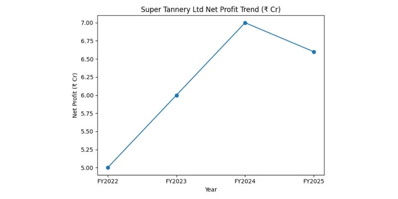 SUPER TANNERY ( SUPTANERY)  LIMITED FINANCIAL AND BUSINESS ANALYSIS REPORT